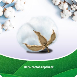 EveryDay All Cotton Large Pantiliners - 100% Cotton - Pack of 30