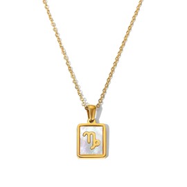 BESTOW Zodiac Necklaces for Women and Men - 18K Gold Necklace with Pearlized Puka Shell | Gifts for women | Zodiac sign necklace | Constellation Jewelry for Birthday or Special Occasions (CAPRICORN)