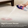 Bissell Professional Power Shot Oxy Carpet Spot & Stain Remover,