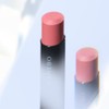 Kanebo Rouge Star Breeze B102 [Lipstick]
