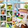 Parrots Bird Playground with Wheels,Parrot Play Stand with Bird Play
