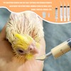 Baby Bird Feeding Syringe Set, Pet Parrot Milk Feeding Syringe