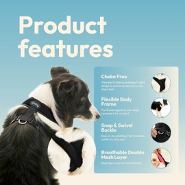 Comfort X Harness Dual Snap Mesh, Dark Pink, X-Small