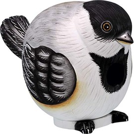 Songbird Essentials SE3880060 Chickadee Gord-O Birdhouse (Set of 1)