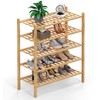 Haddockway 5 Tier Bamboo Shoe Rack Storage Organizer, Multifunctional Free