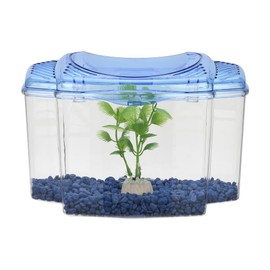 KIT BETERA AZUL 1.8 L