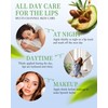 Lip Balm Pack of 5 Lip Balm with Avocado, Long-Lasting