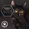 Lolo & Max Ear Mite Drops - Ear Mite Drops