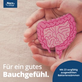 Probiotic Culture Complex for Intestinal Restoration - With Lactobacillus & Bifidobacteria - Gut Bacteria High Dose - 23 Bacteria Strains Without Inulin, 600 Billion KbE Per Tin | 60 Enteric