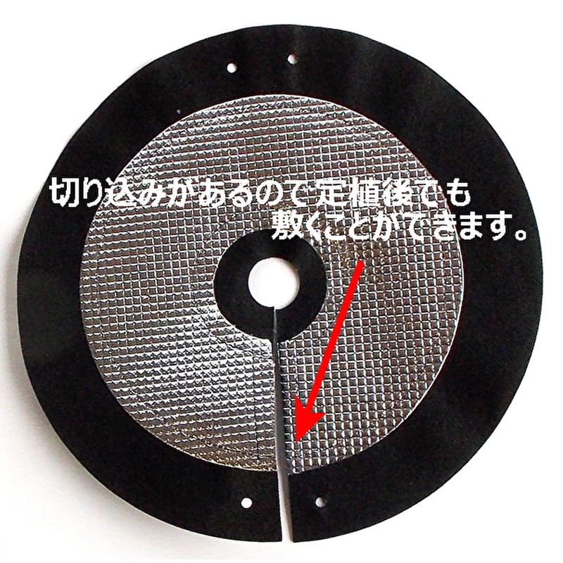 Bug Kitchen Soft, No Set of 6 Pins with