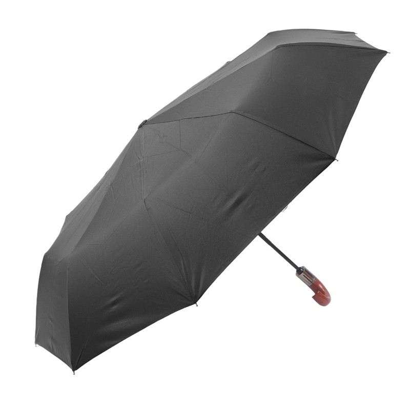 Folding Umbrella 10 Bone UV Protection Auto Open Auto Close
