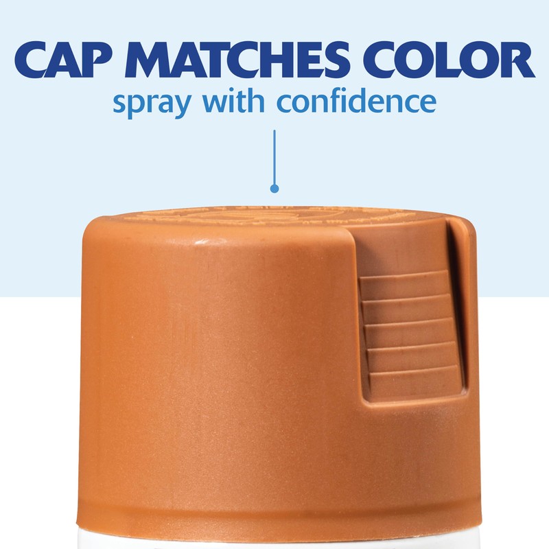 Rust-Oleum 267118 Painter's Touch 2X Ultra Cover Spray Paint, 12