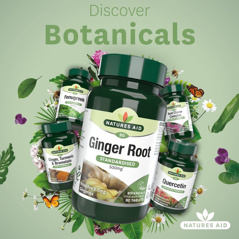 Natures Aid Ginger Root 500 mg 90 Tablets (Botanical Supplement,