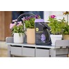 Miracle-Gro Performance Organics Blooms Plant Nutrition Granules - Plant Food