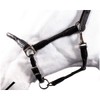 HKM by Reiterladen24 Basic Line Leather Headcollar Round Stitched Black