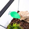 Zeizafa Bettas Fish Hammock 3D Print Suction Cup Leaf Bed