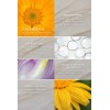 Rejuvaskin Esthetique Crema con Silicona para Cicatrices 30 ml