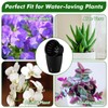 Planterhoma 5/6.7 Inch Self Watering Pots for Indoor Plants, 8