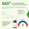 Endotelio 1-MNA Vegan Complex, Anti Ageing Optimising NAD+, Vitamins and