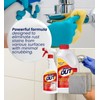 Iron Out Rust Remover Spray 16 oz + 28 oz