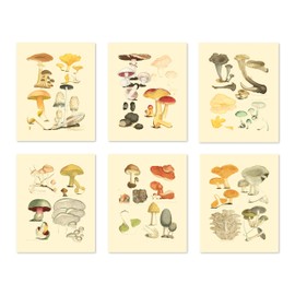 Generic Ink Inc Botanical Prints - Juego de 6 x 8 x 10 (Mate, sin Marco)