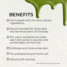 Natural Wax Depilatory Soft Wax Azulene - Professional Use - 100% Organic - Moisturizer - Gentle and Smoothing Soft Wax - Ideal for Sensitive Skin Warm Wax Hair Removal (14 oz)