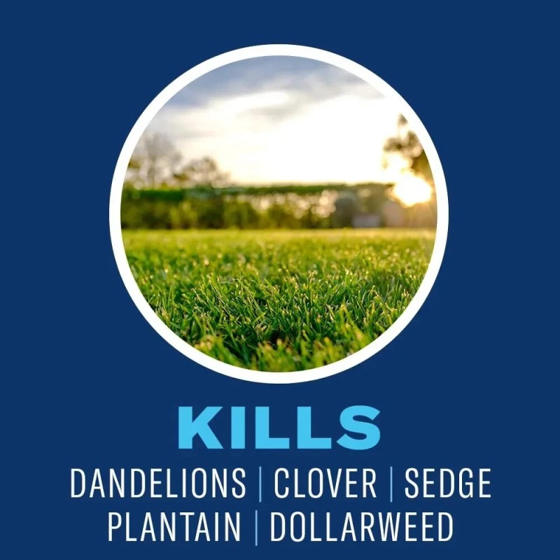 BioAdvanced Lawn Weed and Insect Killer 32 oz Concentrate