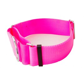 1 1/2 Inch Martingale Dog Collars - Heavy Duty Nylon ( 1.5" Width Dog Collars (Hot Pink, Small)