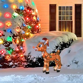 Product Works Domes 60552 24" Rudolph 3D Pre-Lit Yard Art Standing Rudolph with C9 Lights