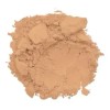 Polvo Conceal + Perfect Shine-proof Powder 06 Beige