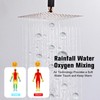 RTOBWEYE 12 Inch Ceiling Mount Shower System Matte Black Gold