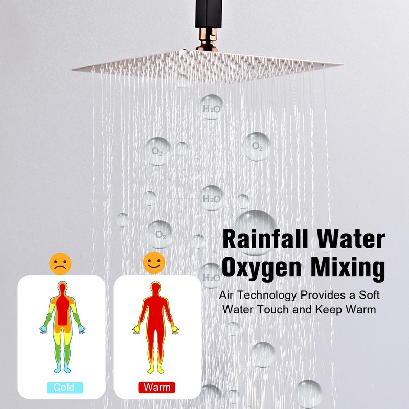 RTOBWEYE 12 Inch Ceiling Mount Shower System Matte Black Gold
