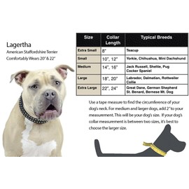 Derby Originals Dog Designer Series USA Leather Spikes and Diamond Padded Dog Collar, Black, 18"