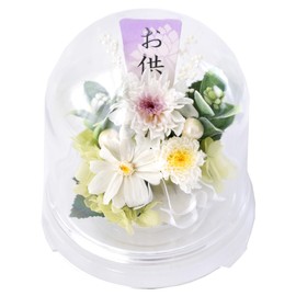Hanayu Offering Buddha Flower Preserved Flower Clear Dome Arrangement Flower White ver