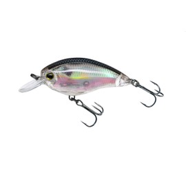 Yo-Zuri 3DR Shallow Crank Floating Lure, 2", Real Gizzard Shad