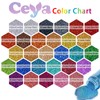 Ceya 3.8oz/ 110g Holographic Ultra Fine Glitter Powder Laser Silver