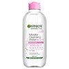 Garnier Skin Active Micellar Cleansing Water For All Skin Types