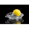 Ritzenhoff & Breker Vio 820003 Lemon Squeezer, Lemon Juicer, Citrus