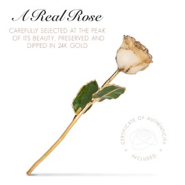 Forever Rose Bloom Box Bundle, 24K Gold Dipped Diamond Rose, The April Birthstone, Real 24k Gold Dipped Rose, Hand Dipped, 11" to 12" in a Beautiful Phantom Vase and Blooming Box