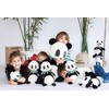 Deglingos Activity Rattle Rototos - Panda -Teething Ring