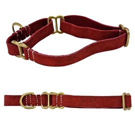 Blazing Paws Vibrania Martingale Slip-On Super Soft Distressed Red Leather Dog Collar for Medium Size Dogs, 0.75 Inches Wide in Colorful Vintage Shades (M: Neck Size 12-14 Inches, Cherry Red)
