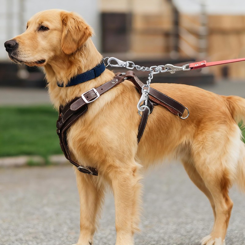 DEYACE Leash Backup with Dual Clasps Prong Collar Safety Clip