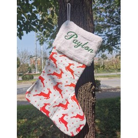 HUAN XUN Custom Holiday Stocking with Children’s Name Xmas Gifts for Boys Zenia