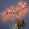 Hmdkepf Cherry LED Tree Branch Lights for Wall, 48/144 LED