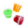 TashiLiving 200-1oz Clear Polypropylene Small Plastic Containers | cups |