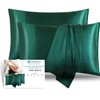 Satin Pillowcase, T Tersely 2 Pack 20"x 30" Silk Satin