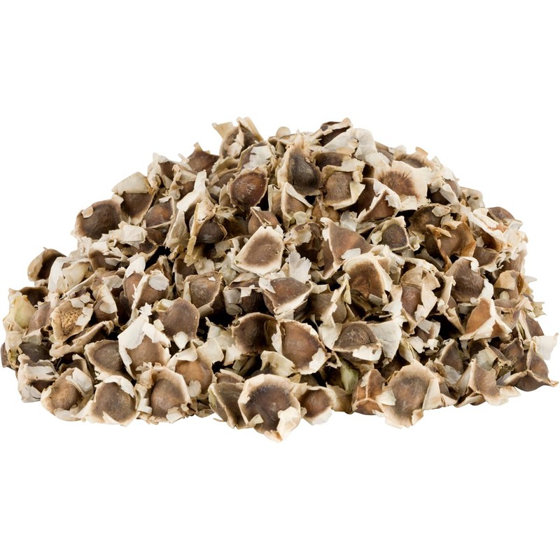 Hanan Moringa Seeds 3.5 oz (100 g) - Semilla de