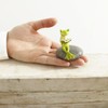 Kawabata Trading Figurine Reading Frog 1202PKC014