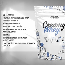 Evolite Whey Protein Pulver 700 g - Molke Protein Powder Whey mit Buttermilch - 21 g Protein pro Portion - 23 Portionen - Molkenprotein-Konzentrat - Ideal zum Muskelaufbau und erhalt - Blueberry