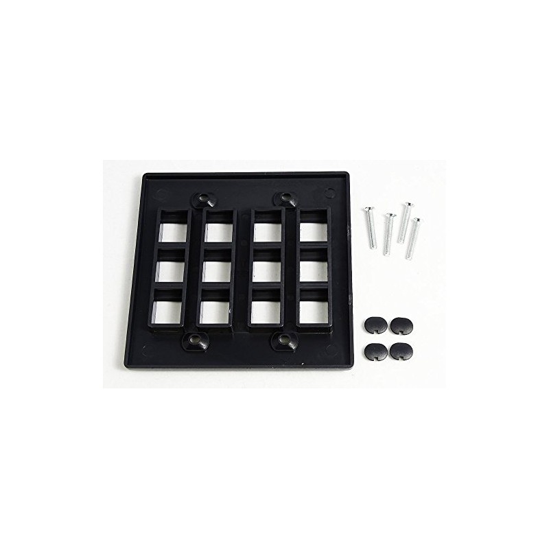 RiteAV - Keystone Wall Plate Double Gang 12-Port Black (1